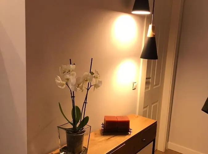 Palacio Valdes, Centro Aviles, Con Parking *